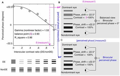 On the Relationship Between Sensory Eye Dominance and Stereopsis in the Normal-Sighted Adult Population: Normative Data